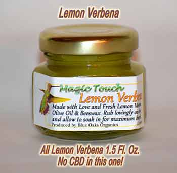 Non-CBD Lemon Verbena Salve