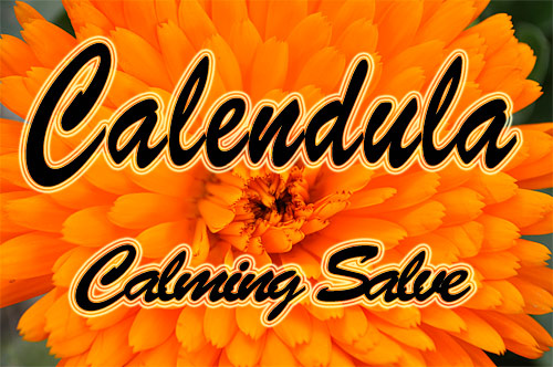 Calendula Salve