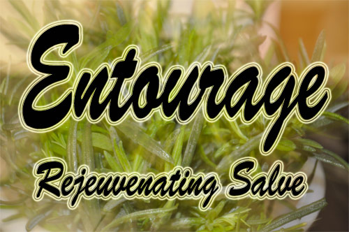 Entourage Salve