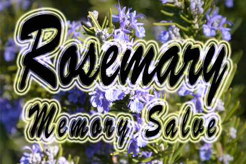 Rosemary Salve